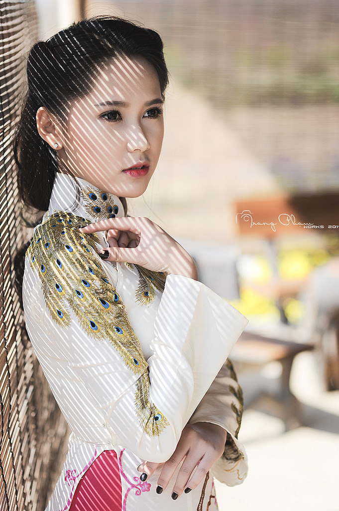 秘果
